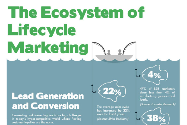 Sales and Marketing Life Cycle Stages and Techniques