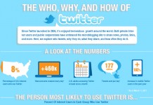 Twitter User Audience Demographics and Statistics Twitter-User-Audience-Demographics