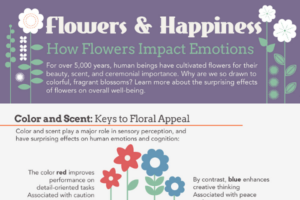 35 Catchy Flower Shops Slogans and Great Taglines - BrandonGaille.com
