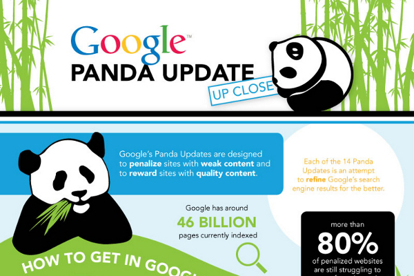 How to Recover from a Google Panda Update Penalty