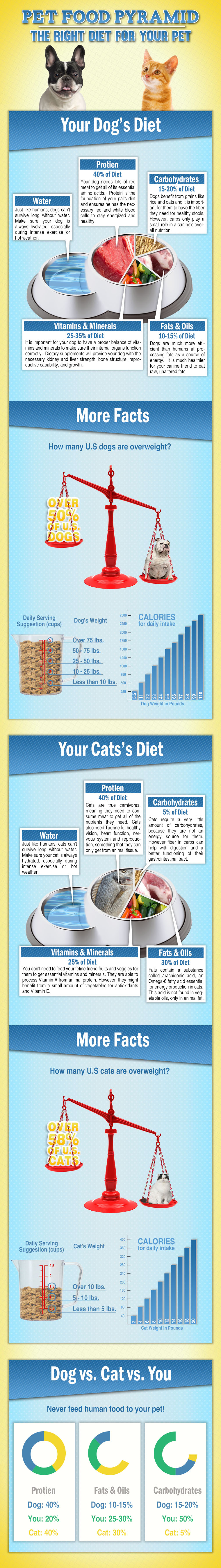 Pet Food Diet Pyramid for Dogs and Cats