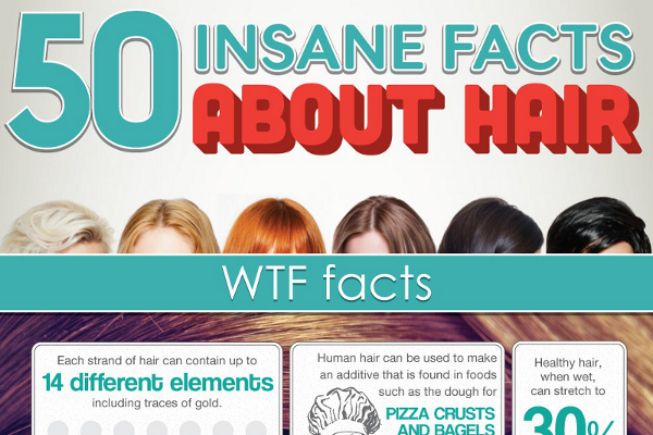 125 Catchy Shampoo Slogans and Taglines 