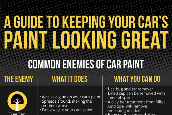 35 Catchy Car Wash Slogans and Taglines