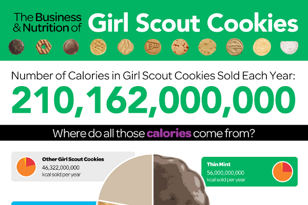 43 Great Cookie Company Names