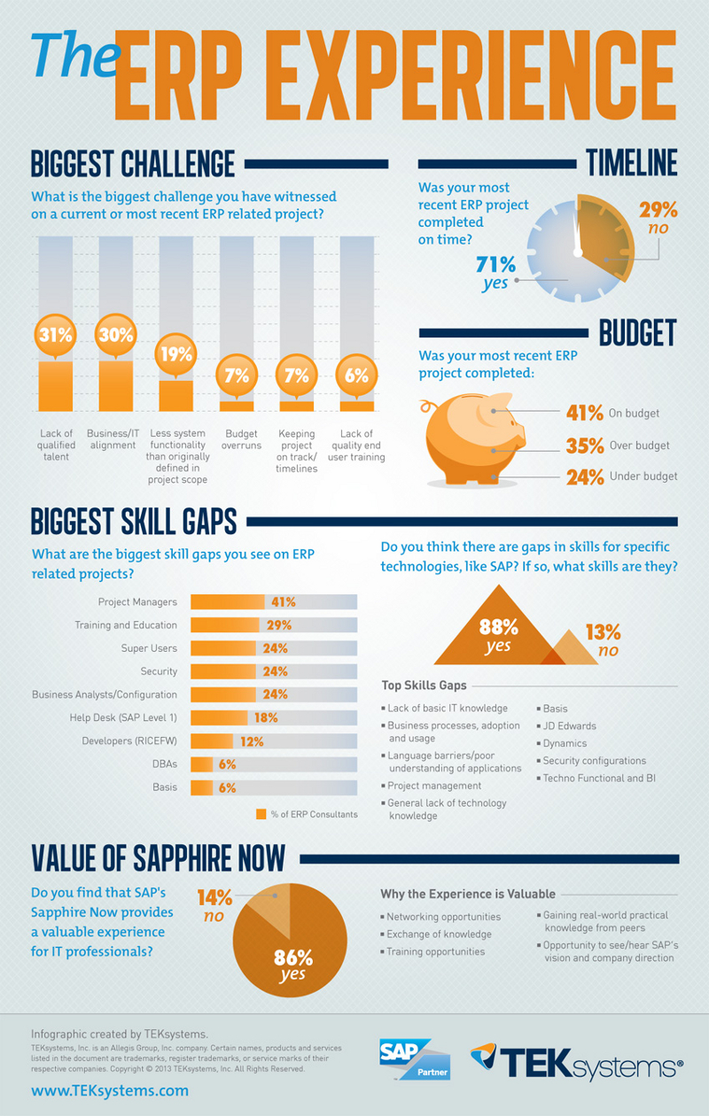 ERP Project Statistics