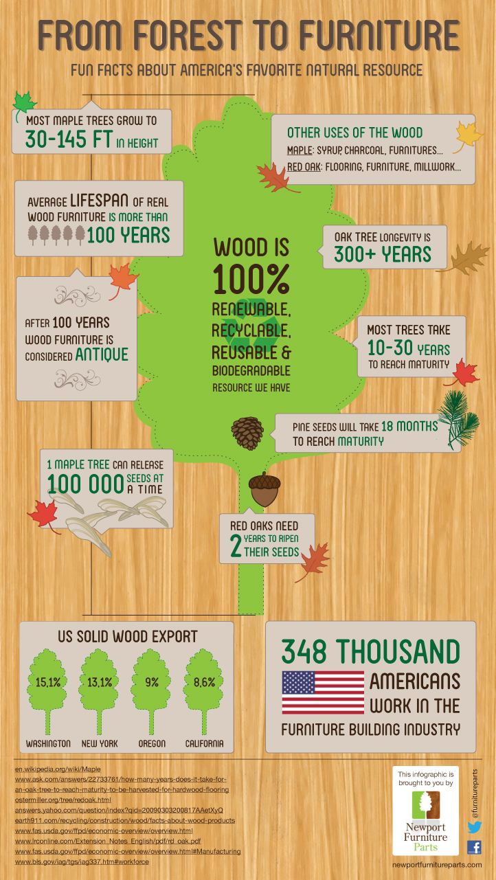 Facts about wood furniture