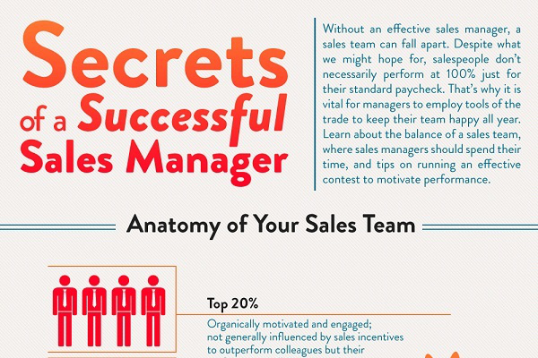 How to Become a Great Sales Manager