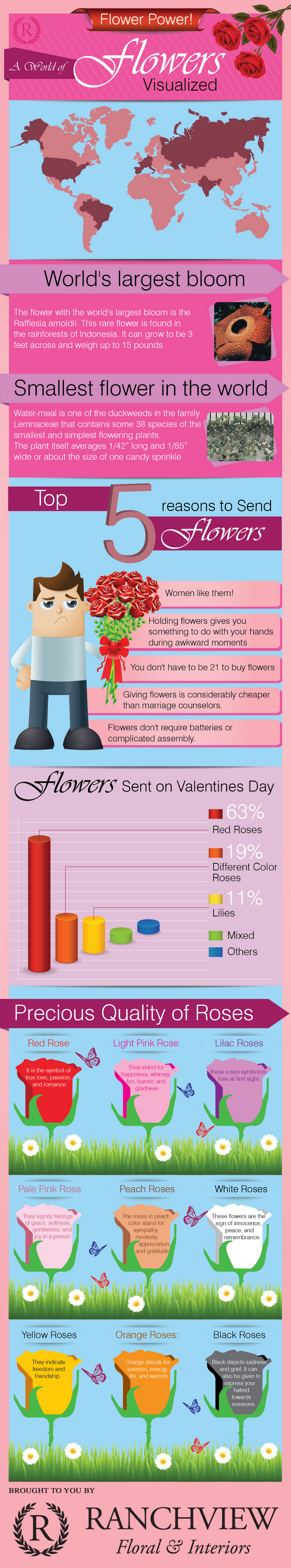 Interesting Facts About Flowers