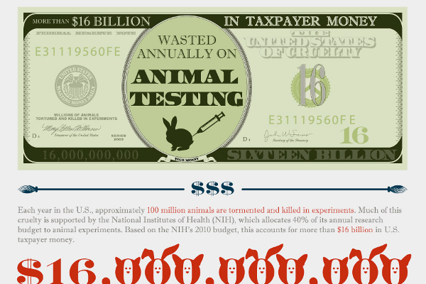 25 Animal Experimentation Statistics and Facts