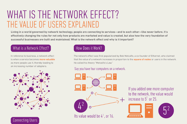 Social Network - Definition, Importance & Example