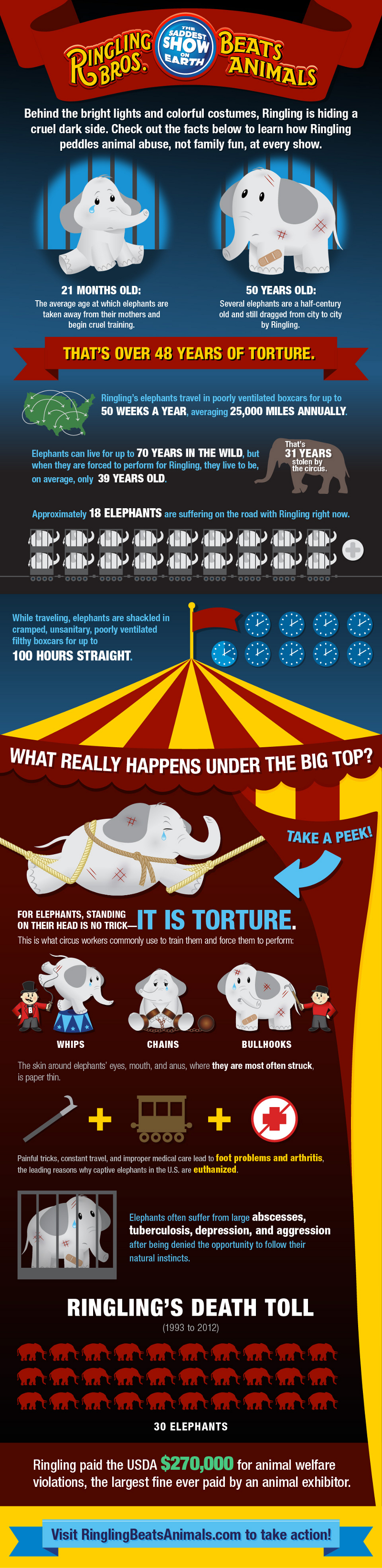 Circus Animal Effects