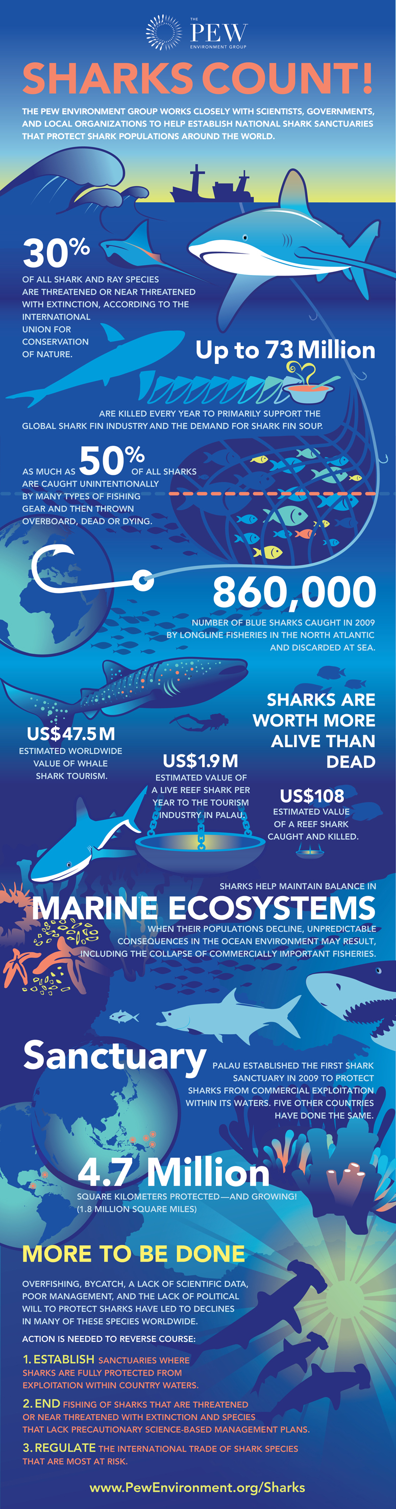 Facts-Of-Marine-Ecosystem