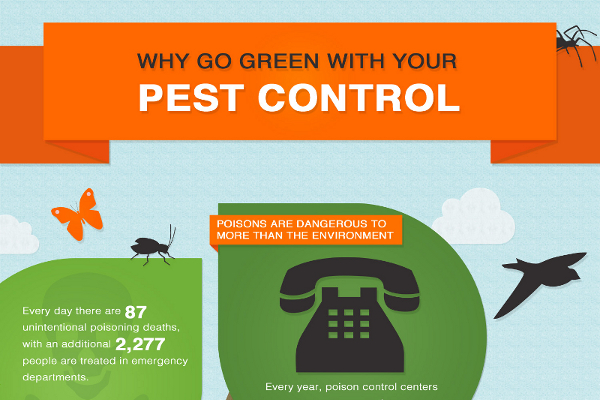 101 Ideas for Pest Control Company Names 