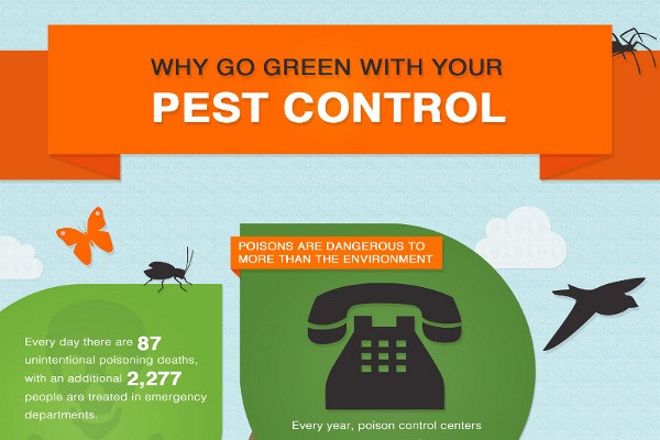 42 Ideas for Pest Control Company Names