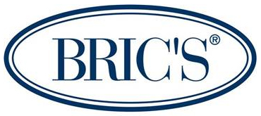 Brics Company Logo