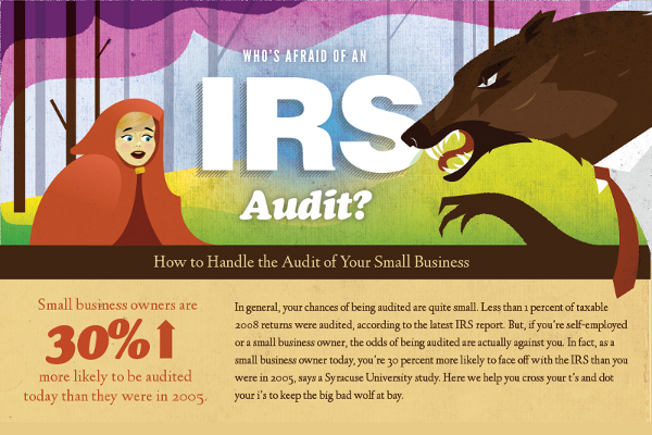 Guide to IRS Audit