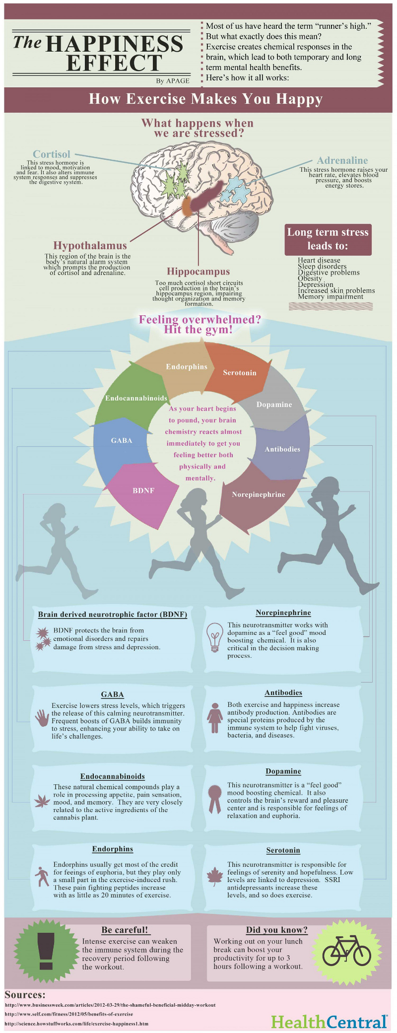 How Exercise Increases Happiness Levels