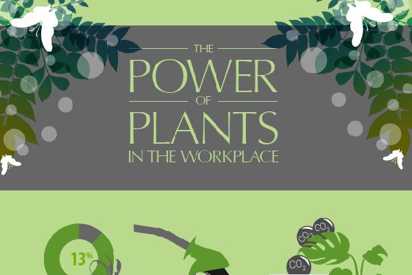 13 Ways Indoor Plants Increase Workplace Productivity