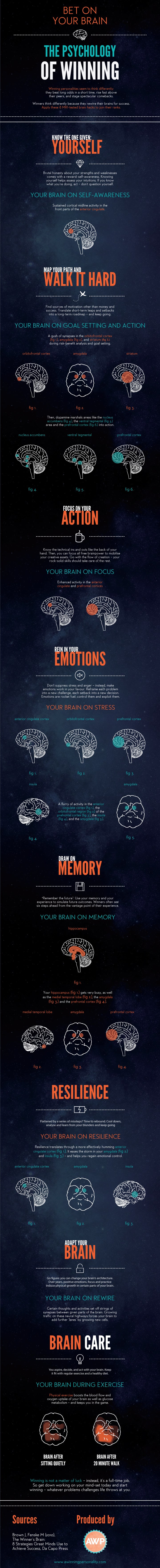 Brains-for-Success