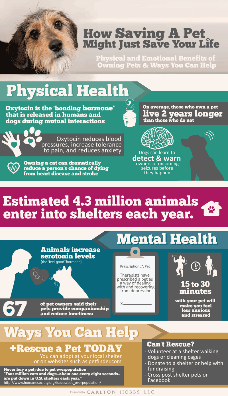 Health Benefits of Pets