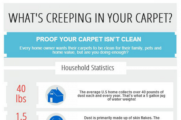 14 Carpet Cleaning Marketing Ideas