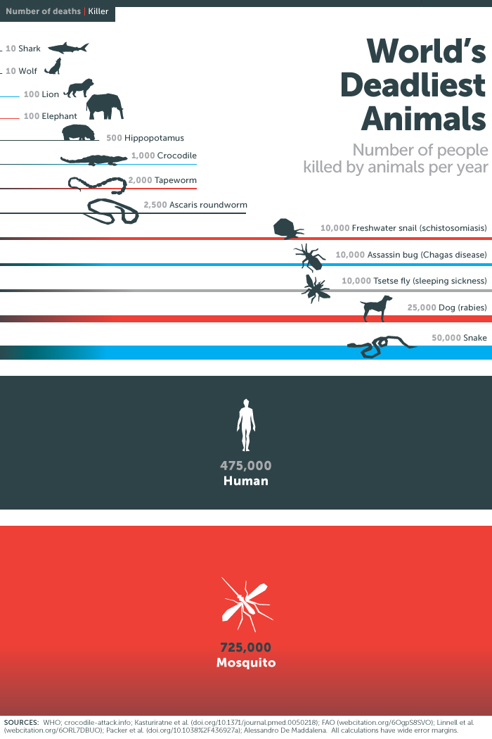 Deadliest-Animals-on-Earth