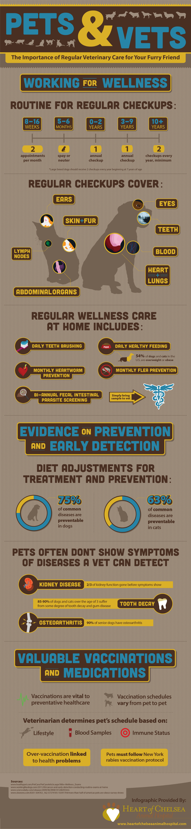 Vet Trends and Pet Care