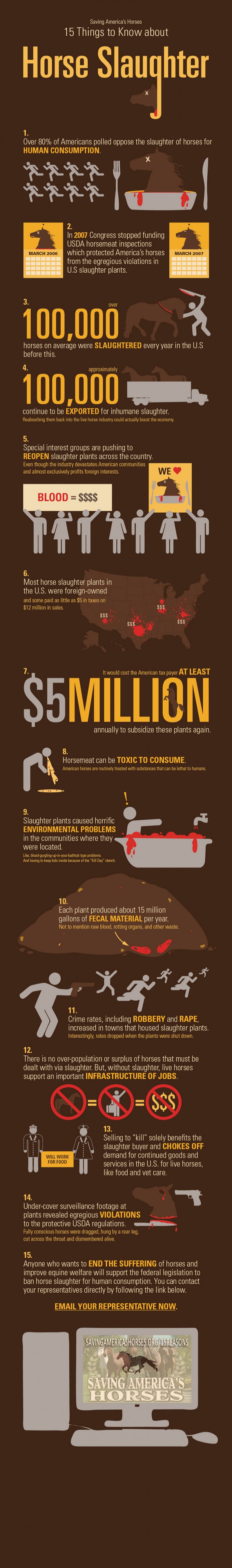 21 Shocking Horse Slaughter Facts and Statistics