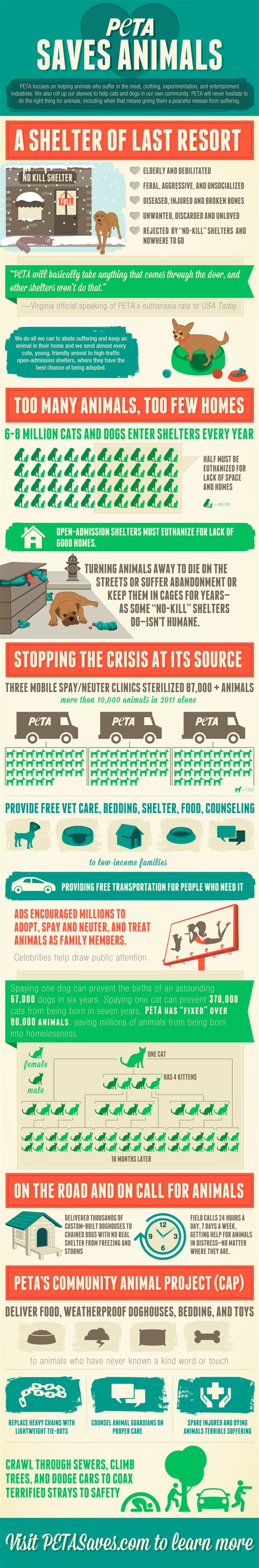 Pet Overpopulation Statistics