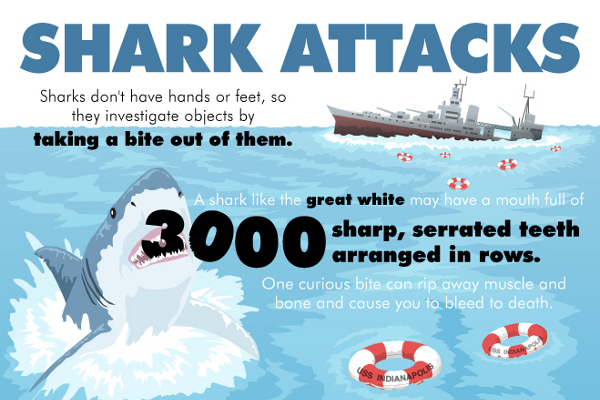 Shark Attack Infographics: Why you don't need to be afraid of sharks.