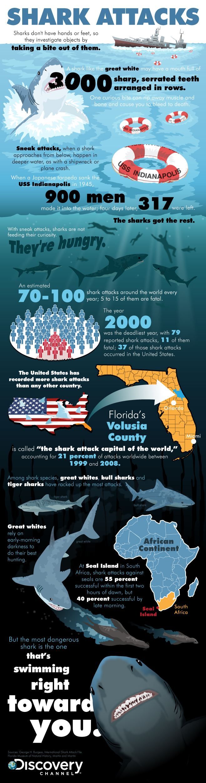 Shark Attack Facts