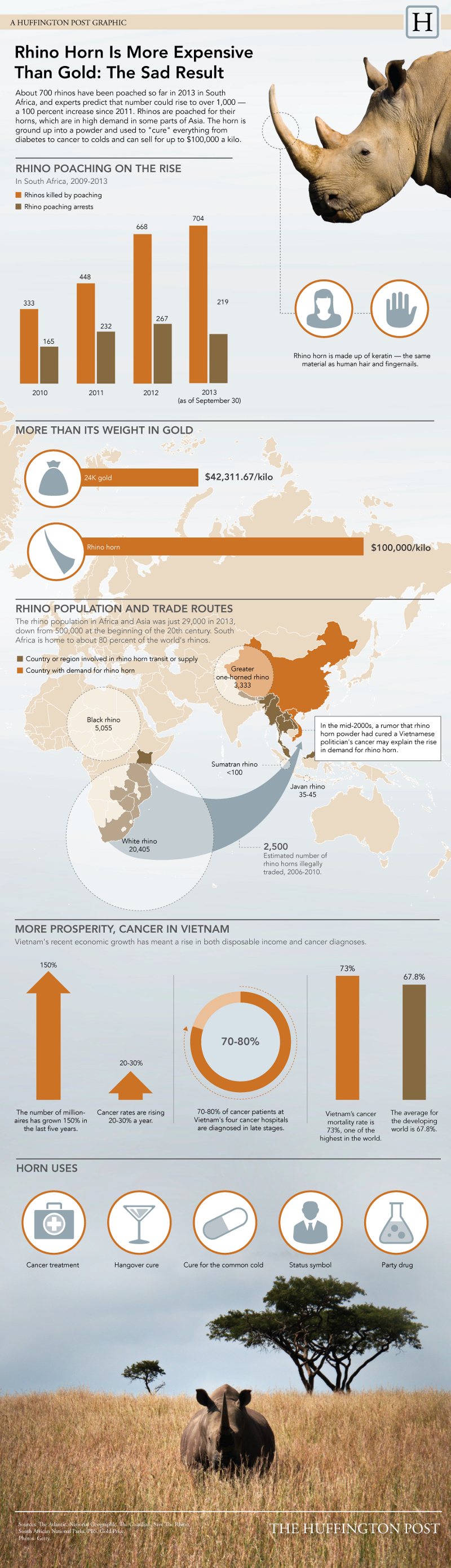 The Cost of Rhino Poaching