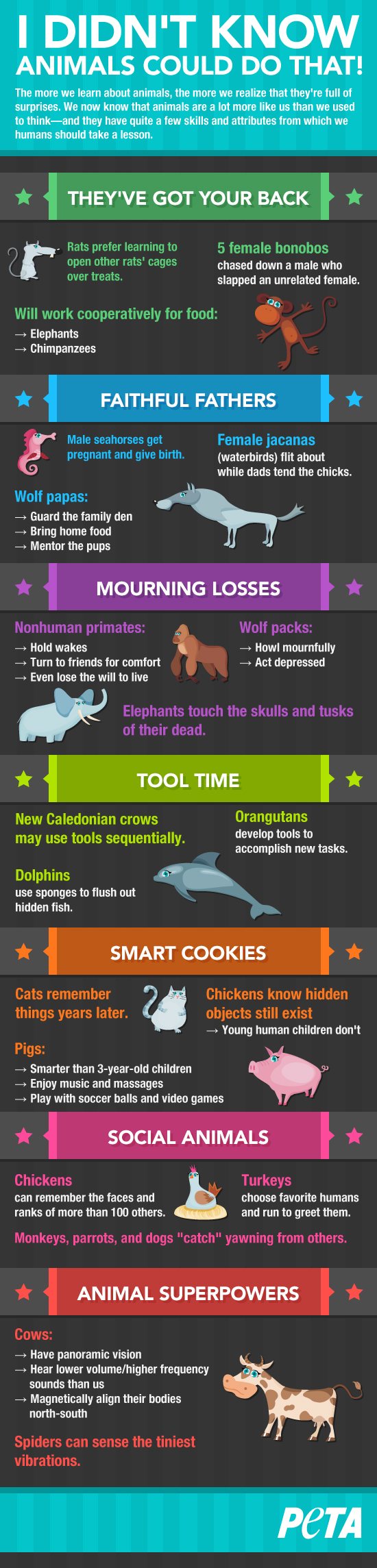 Interesting Facts About Animals