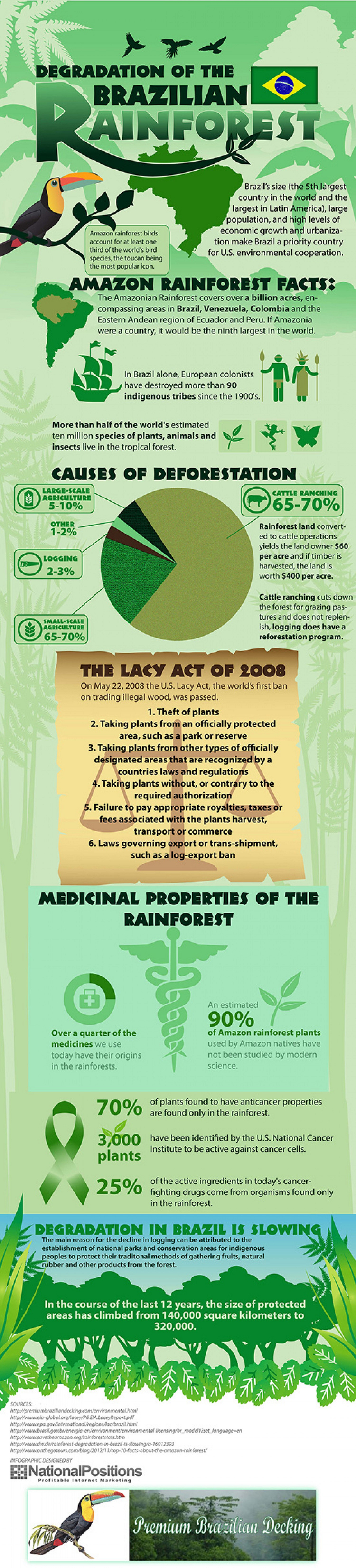 Rainforest Deforestation Facts and Trends