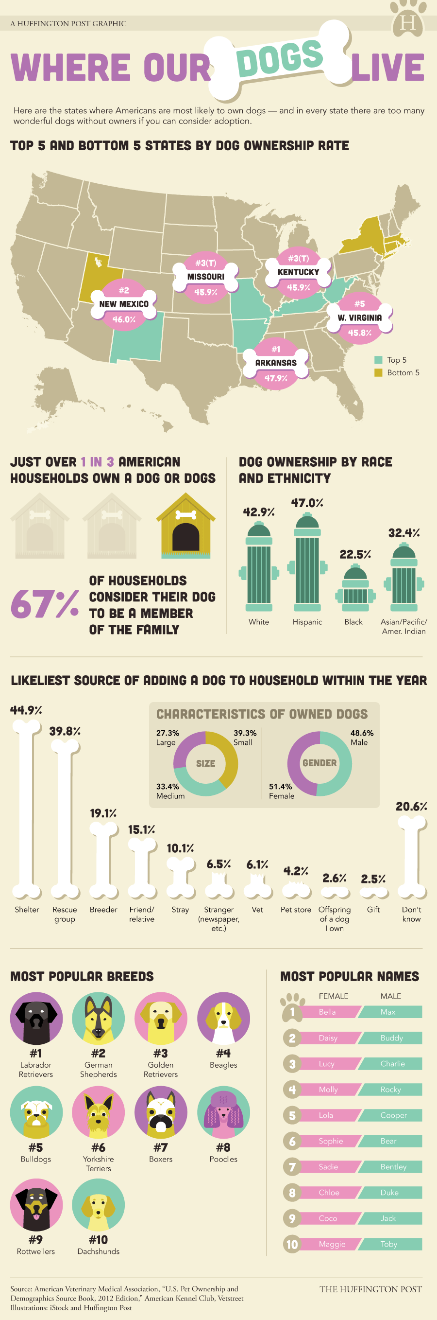 United States Dog Ownership Rates