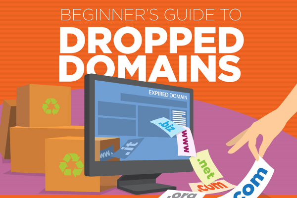 17 Vital Tips for Buying Dropped Domains