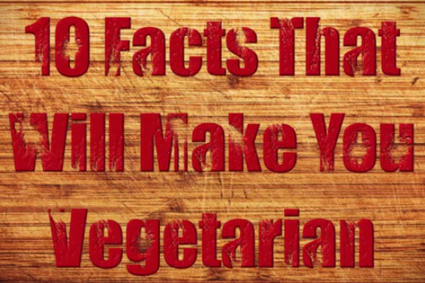 29 Clever Catchy Vegetarian Slogans