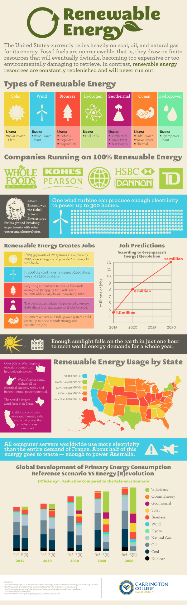 Renewable Energy Future