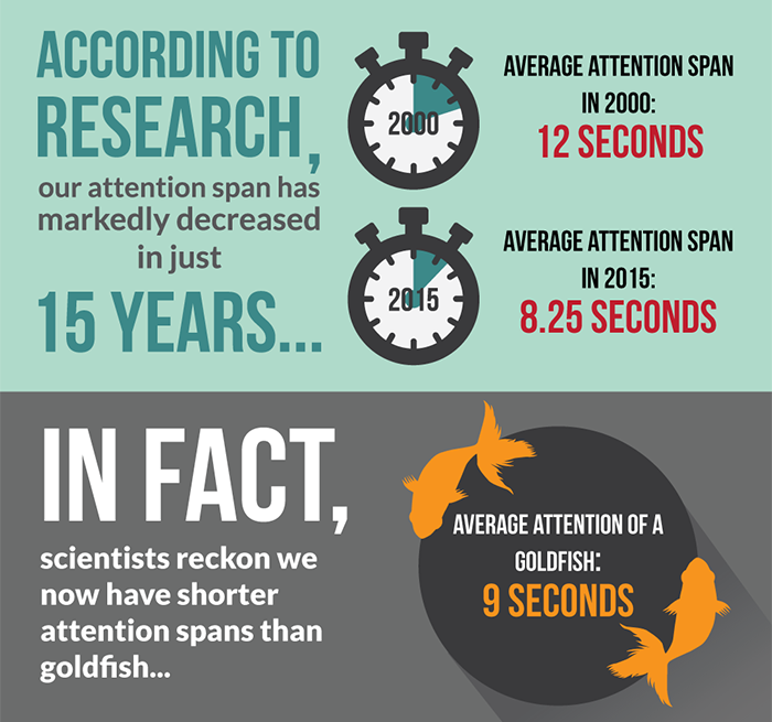 gold-fish-attention-span