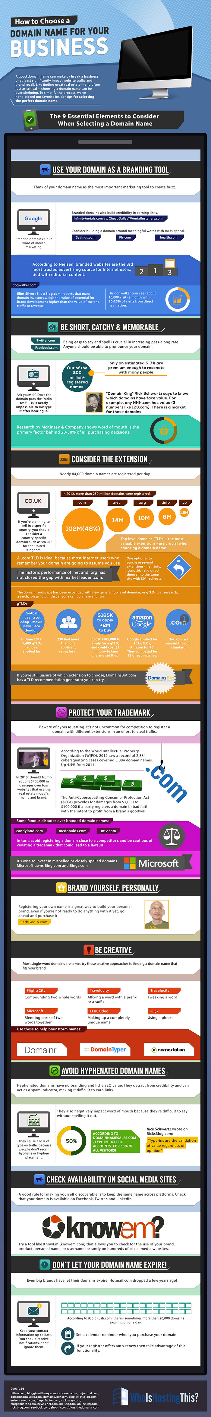 domain name infographic