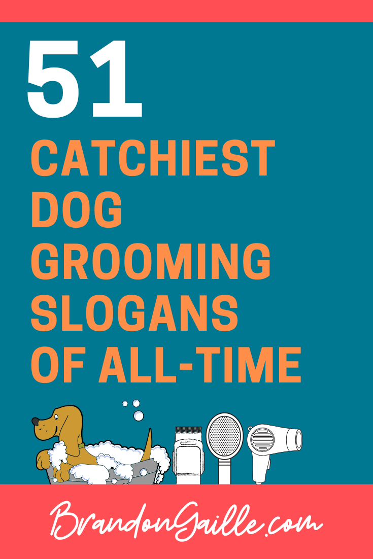 51 Catchy Dog Grooming Slogans And Good Taglines BrandonGaille