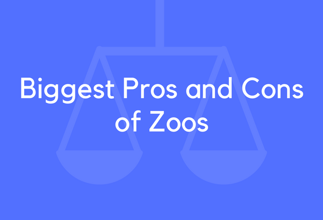 😍 Animals in zoos pros and cons. Pros And Cons Of Keeping Animals in ...