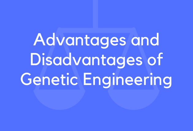 Disadvantages man advantages and Local Area