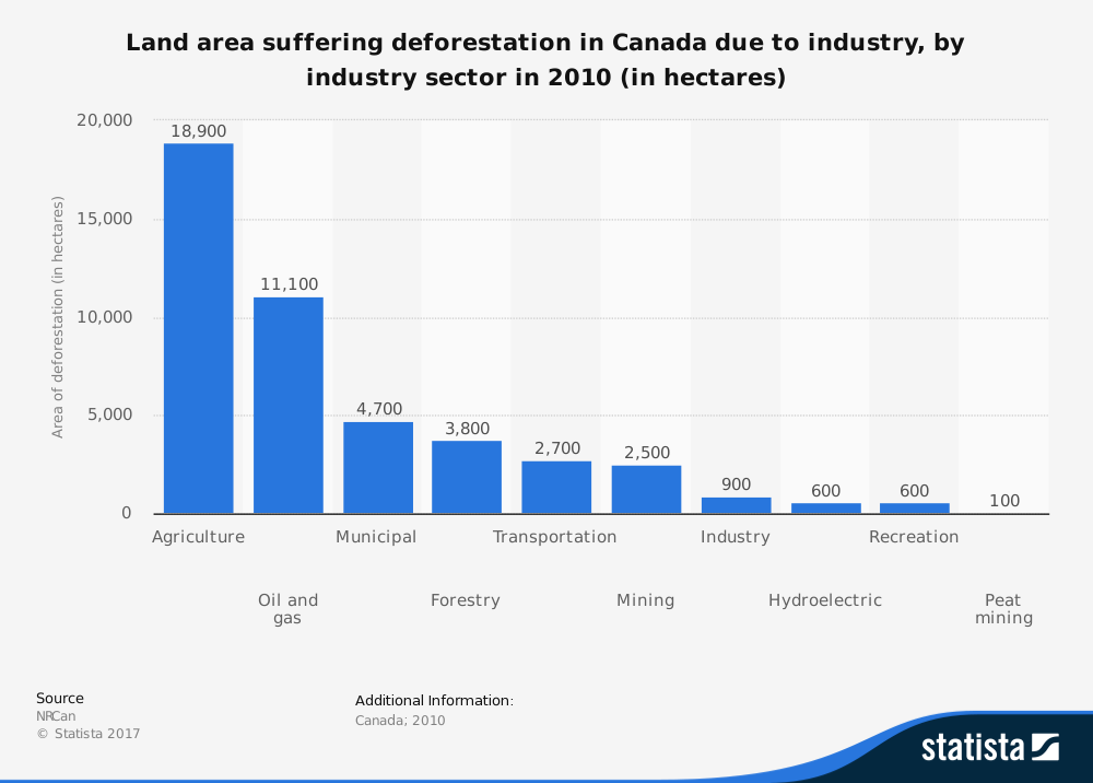 19 Advantages And Disadvantages Of Deforestation Brandongaille Com