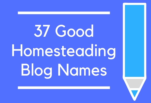 37 Good Homesteading Blog Names