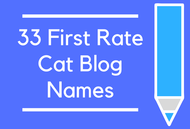 33 First Rate Cat Blog Names