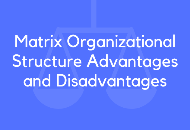 Matrix Organizational Structure Advantages and Disadvantages