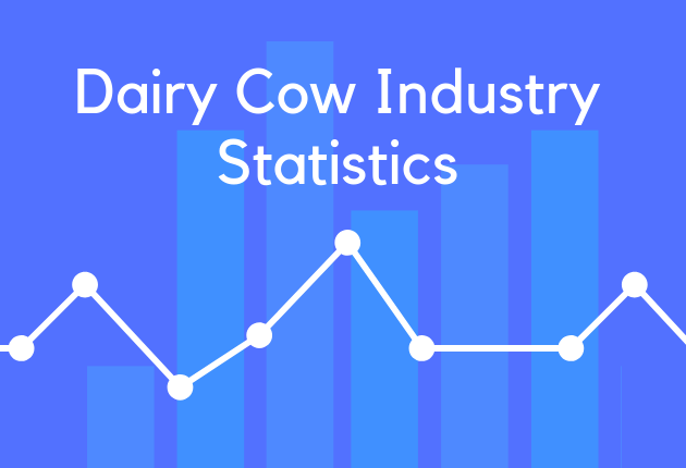 Dairy Cow Industry Statistics