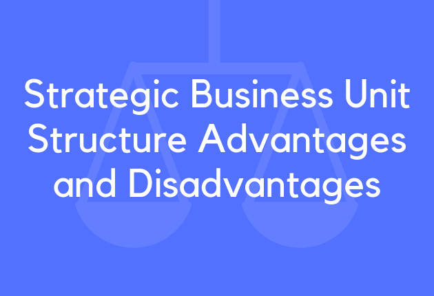 Strategic Business Unit Structure Advantages and Disadvantages