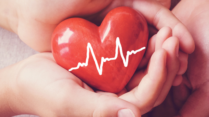 51 Heart and Organ Donation Slogans 